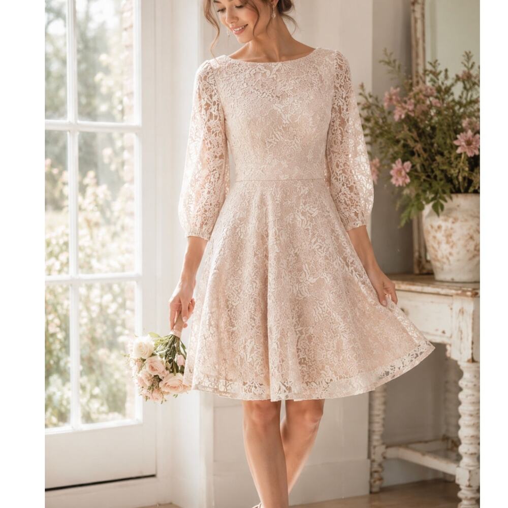 Eliza J Fit and Flare Lace Dress Pleated Size 6 NWOT Romantic Summer Cottagecore